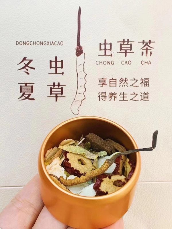 虫草茶