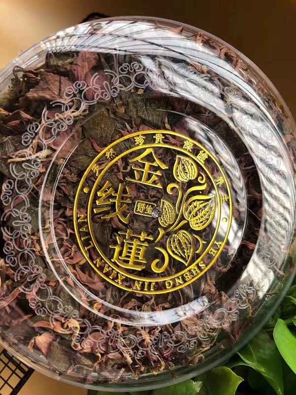 金线莲